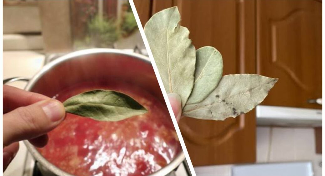 Думала, чим сильніше настояти, тим смачніше – а навпаки: 3 зайві хвилини з лавровим листом зіпсують вам борщ 