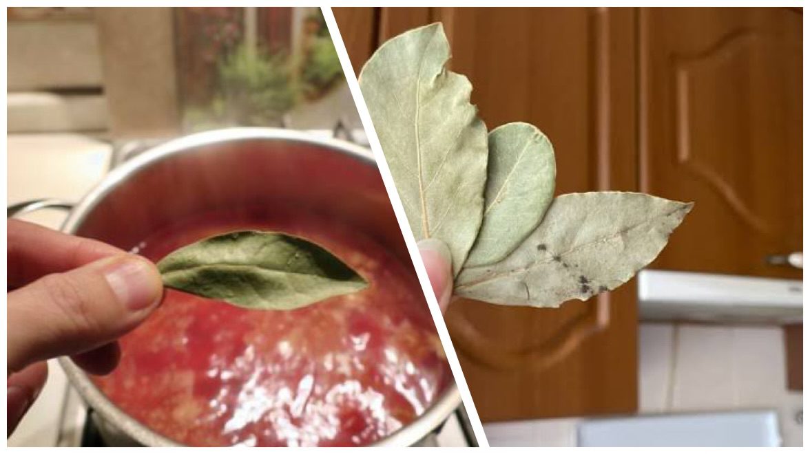 Господині розповіли, як правильно класти лавровий лист у перші страви 