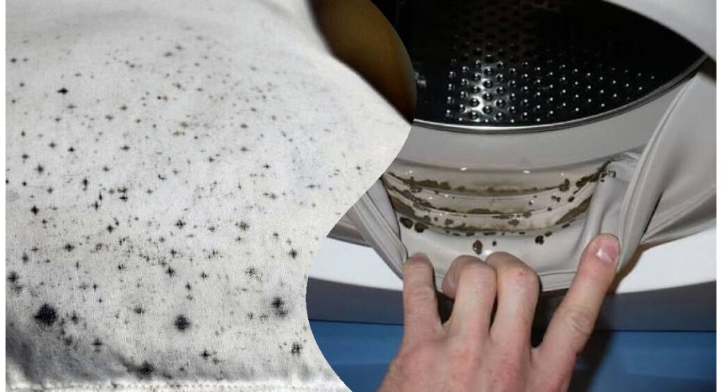 НІКОЛИ не кладу прати “це” в пральну машинку! Запам’ятайте і запишіть: банальна лінь може зіпсувати техніку 