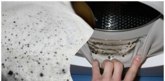 Господині розповіли, що не можна прати в машинці навіть на високій температурі 