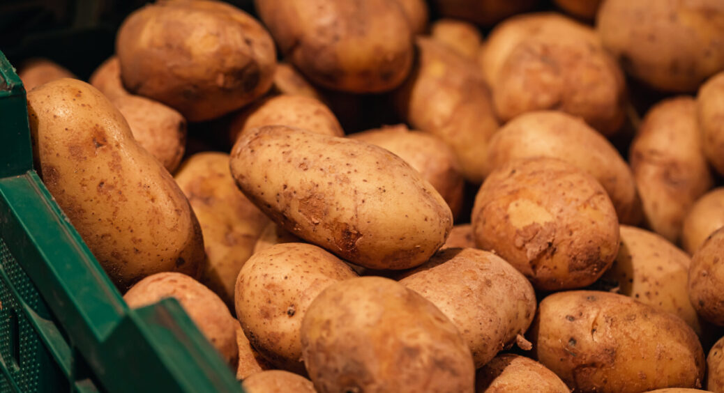 Наближаються 2 заборонених дні для закладання картоплі в підвал: буде жухла, м’яка – тільки врожай шкода 