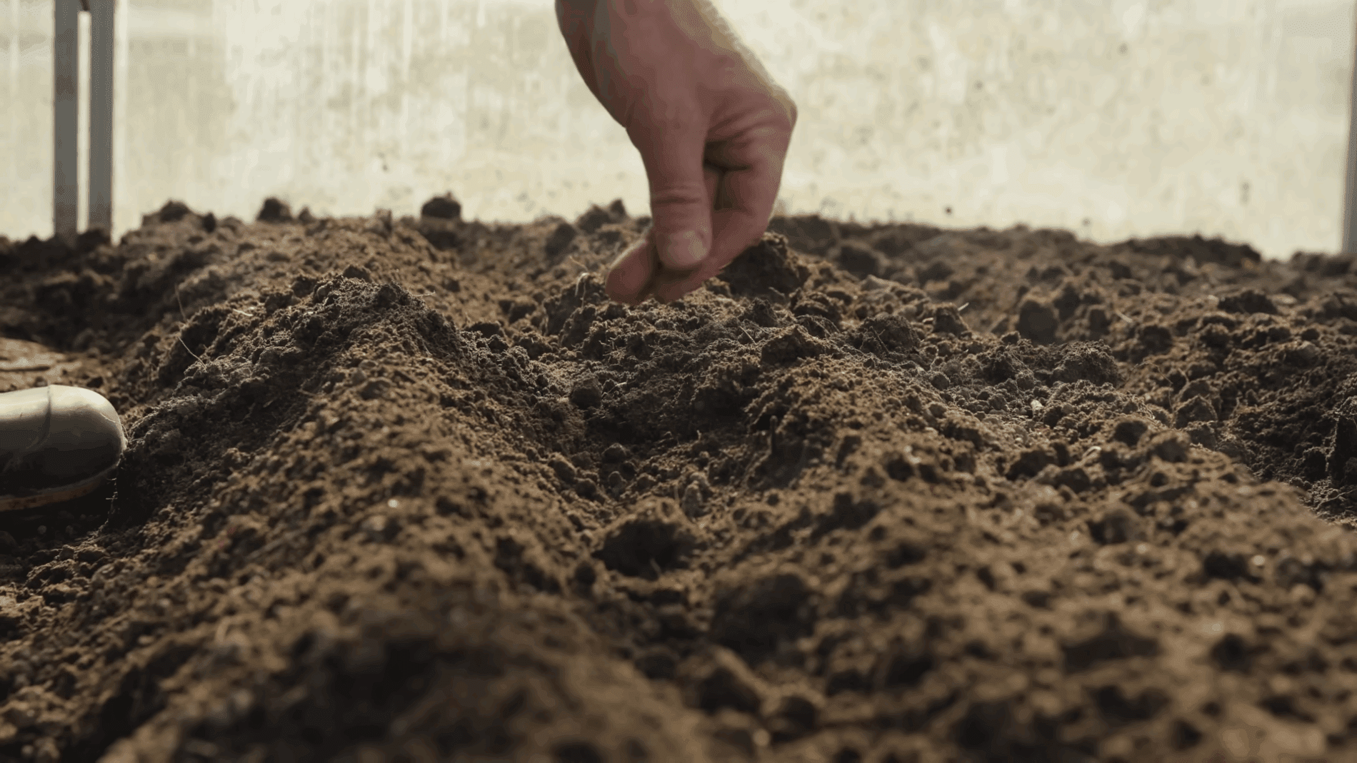 Експерти розповіли про переваги осіннього посіву 