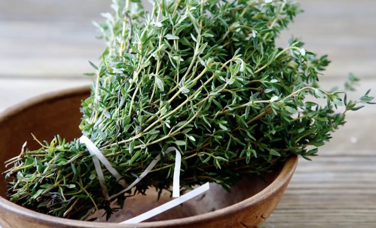 Господині розповіли, як позбутися комах на кухні без отрути