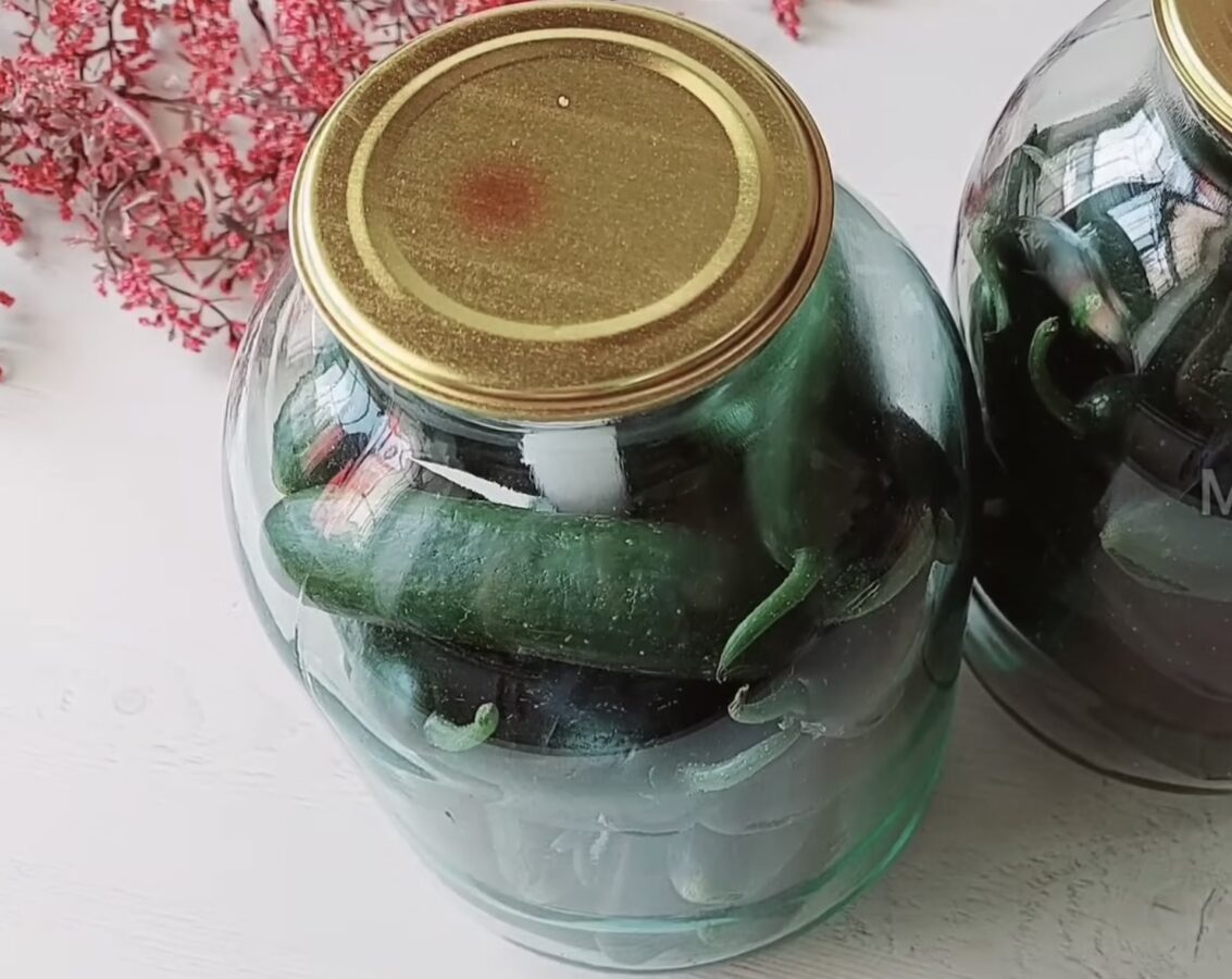 Господині поділилися незвичним способом, як зберігати огірки свіжими пів року Господині поділилися незвичним способом, як зберігати огірки свіжими пів року