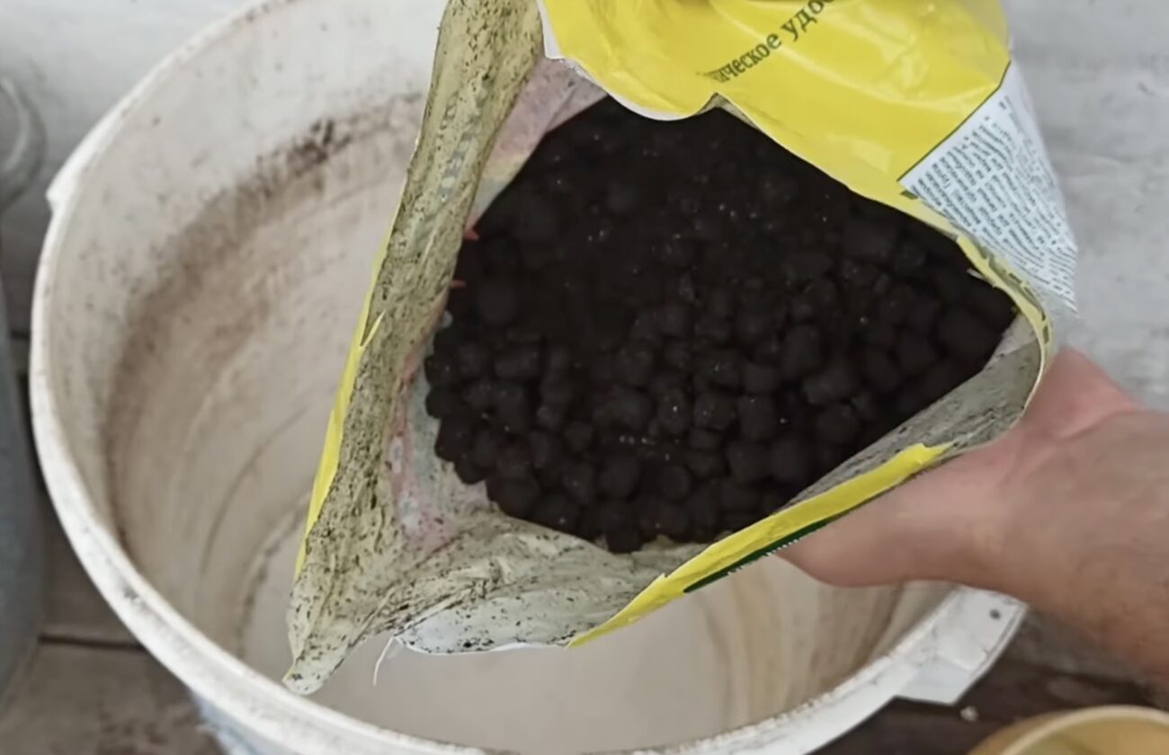 Агрономи поділилися пʼятьма способами збагачення ґрунту восени