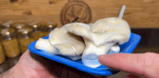 Експерти розповіли, як швидко та просто виростити гриби вдома