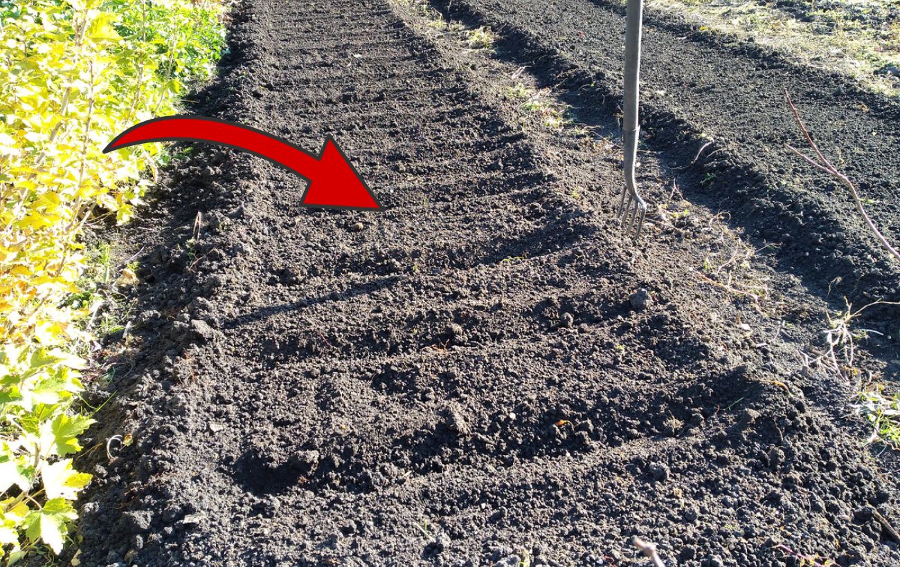 Городники розповіли, чим підживити ґрунт, щоб покращити його родючість