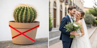 Експерти розповіли, які речі не варто приносити до квартири