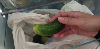 Як зберігати овочі в холодильнику, аби вони не псувались