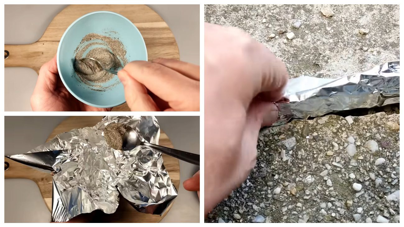 Експерти поділилися лайфхаком, як позбавитися від гризунів