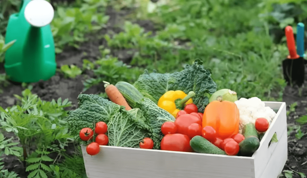 Городники розповіли про важливість правильного сусідства рослин