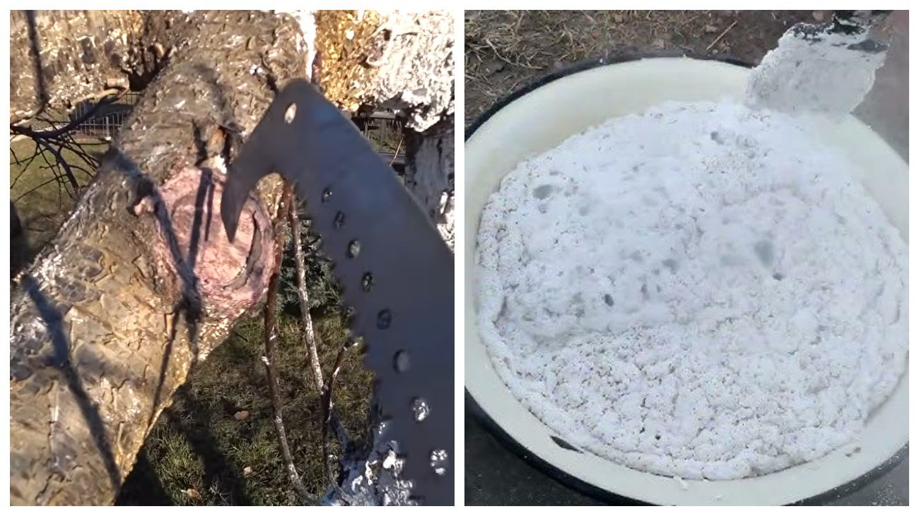 Садівники розповіли, чим замінити садовий вар