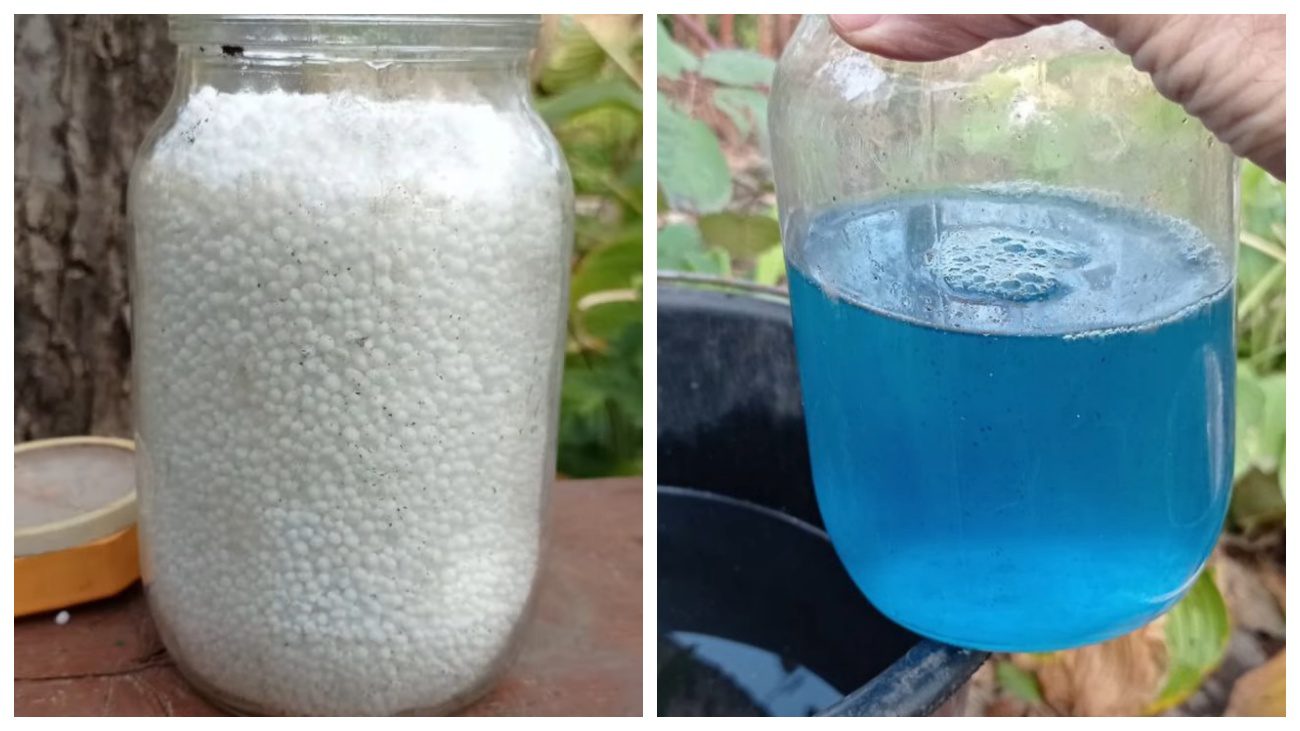 Садівники розповіли про ефективну осінню обробку саду