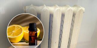 Як очистити повітря в домашніх умовах