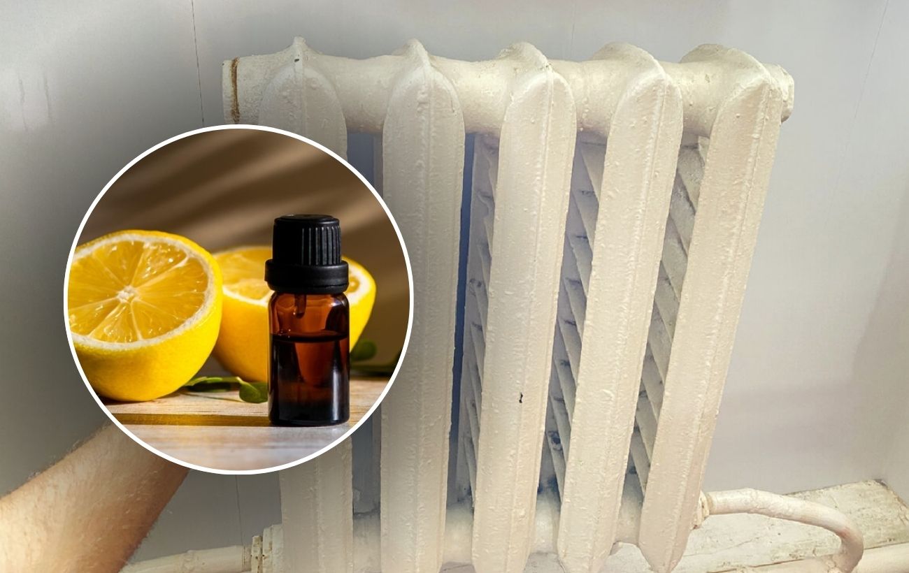 Як очистити повітря в домашніх умовах