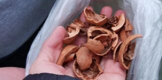 Як опалювати будинок не тільки дровами