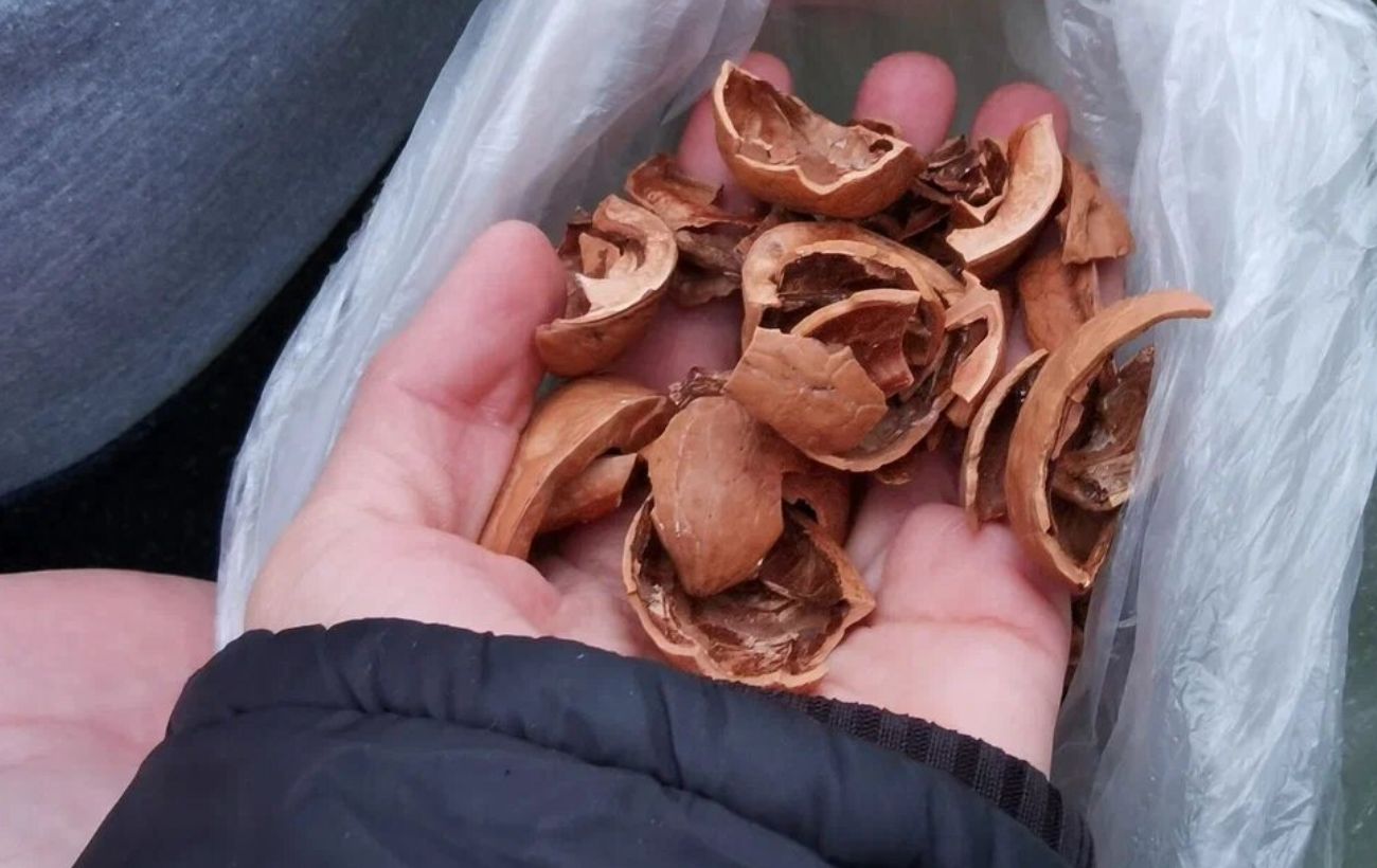 Як опалювати будинок не тільки дровами