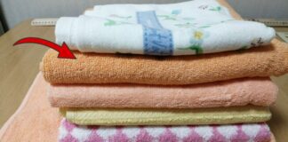 Господині розповіли, чому не можна сушити рушники на батареї 