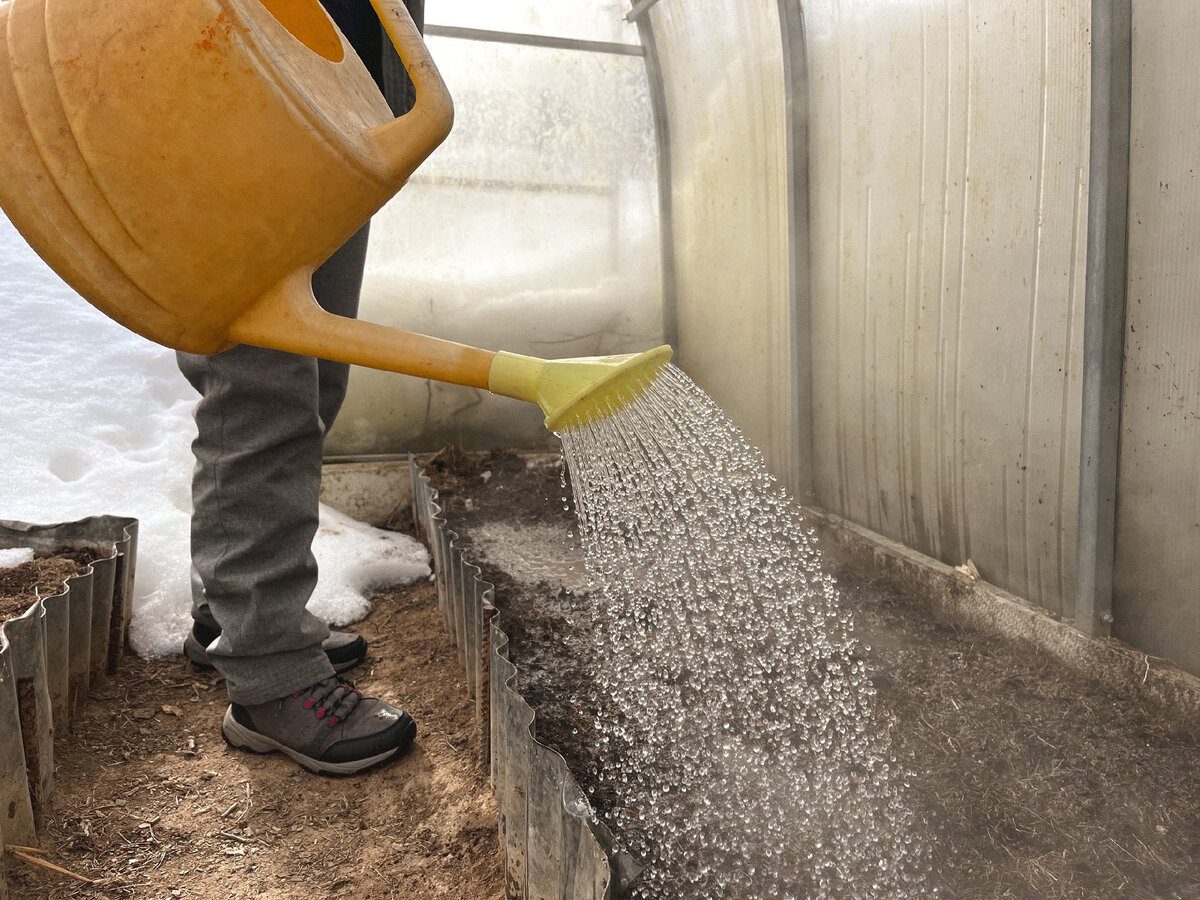 Експерти у галузі городництва розповіли про важливий крок з підготовки ділянки до зимівлі