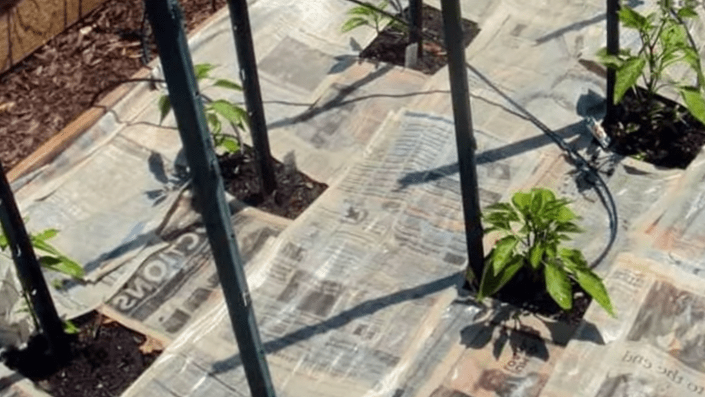 Городники розповіли про безплатний інструмент для захисту ґрунту