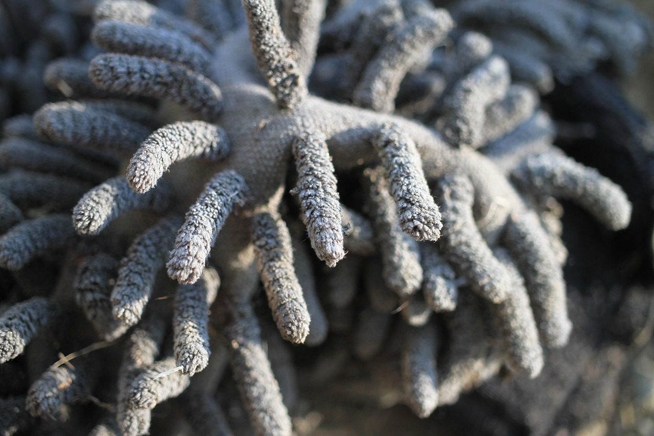 Експерти пояснили, як правильно мити підлогу, аби вона залишалась чистою набагато довше