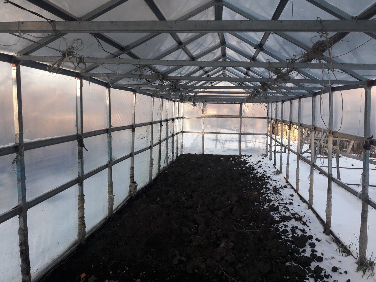 Експерти порадили доступний спосіб, як підготувати теплицю до вирощування розсади