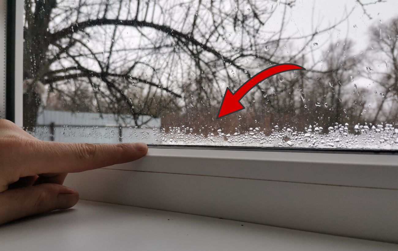Господині розповіли, як захистити вікна від плісняви та вологості 