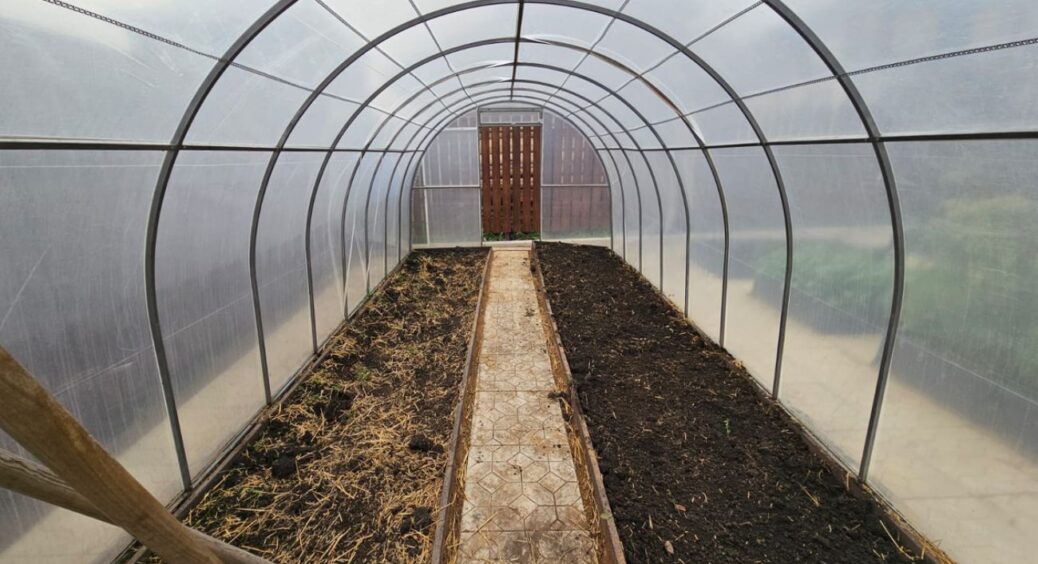 До кінця листопада кладу в теплицю 1 старий рушник – і навесні розсада росте у 3 рази швидше: пояснюю “фінт” 