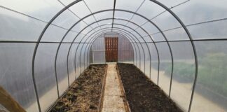 Як підготувати теплицю до вирощування розсади