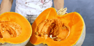 Кулінари розповіли про спосіб зберігання гарбуза у банках