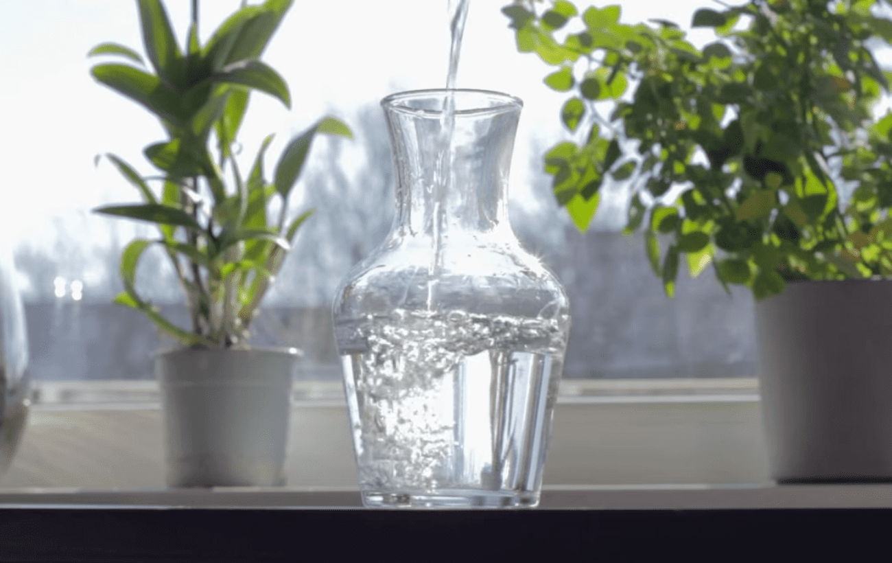 Квітникарі порадили, чим оживити чахлі кімнатні рослини