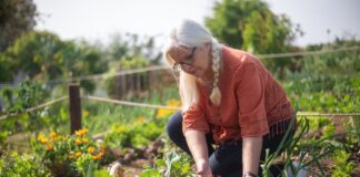 Городники розповіли про важливість правильного сусідства рослин