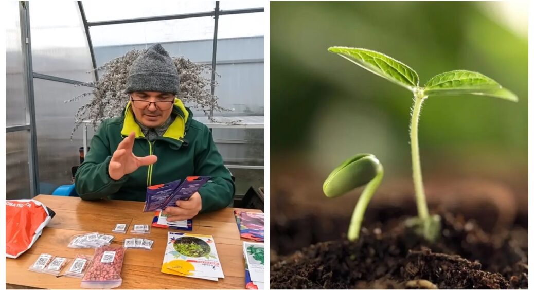 Я вже зараз готуюсь до наступного сезону: ось насіння 4 овочів, які обов’язково варто посадити навесні 
