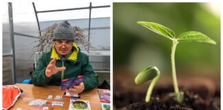 Городники склали список культур для весняної посадки