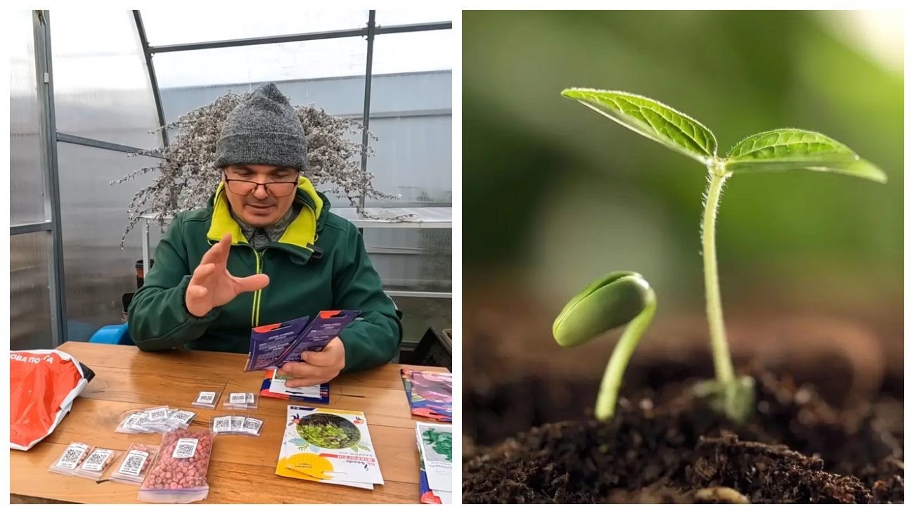 Городники склали список культур для весняної посадки