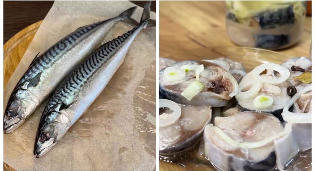 Приготувала скумбрію пряного посолу — і на застіллі сперечаються лише про одне: хто забере останній шматочок 