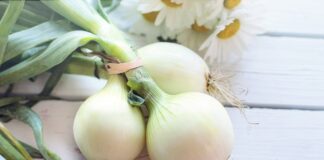 Господарі поділились незвичним способом зберігання цибулі