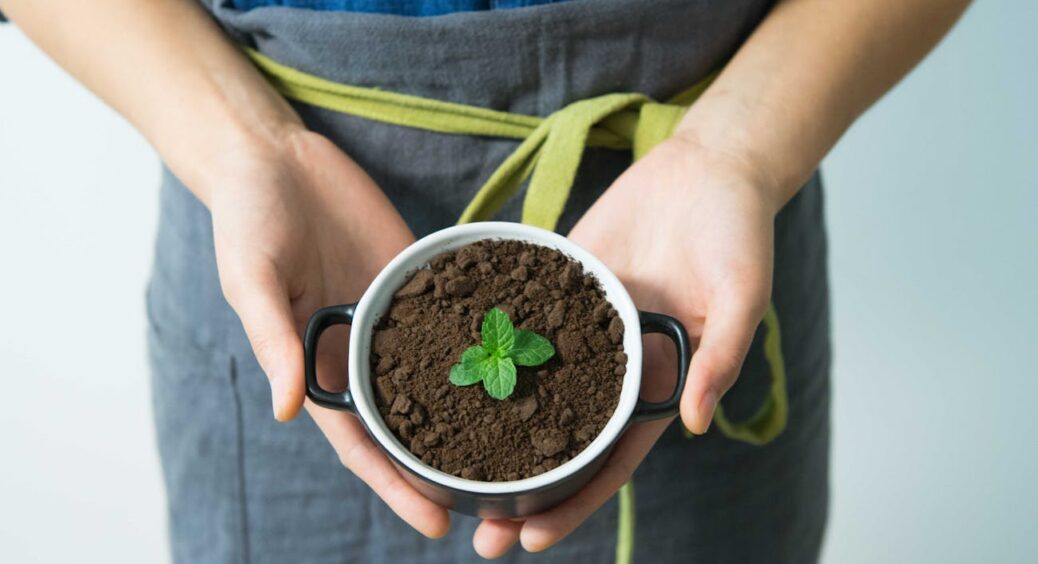 Восени я заготовлюю ґрунт для розсади за цими 4 принципами: щоразу дивуюсь, навіщо взагалі купував готовий 