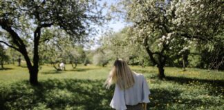 Господарі розповіли, як небажані у дворі дерева можуть принести користь