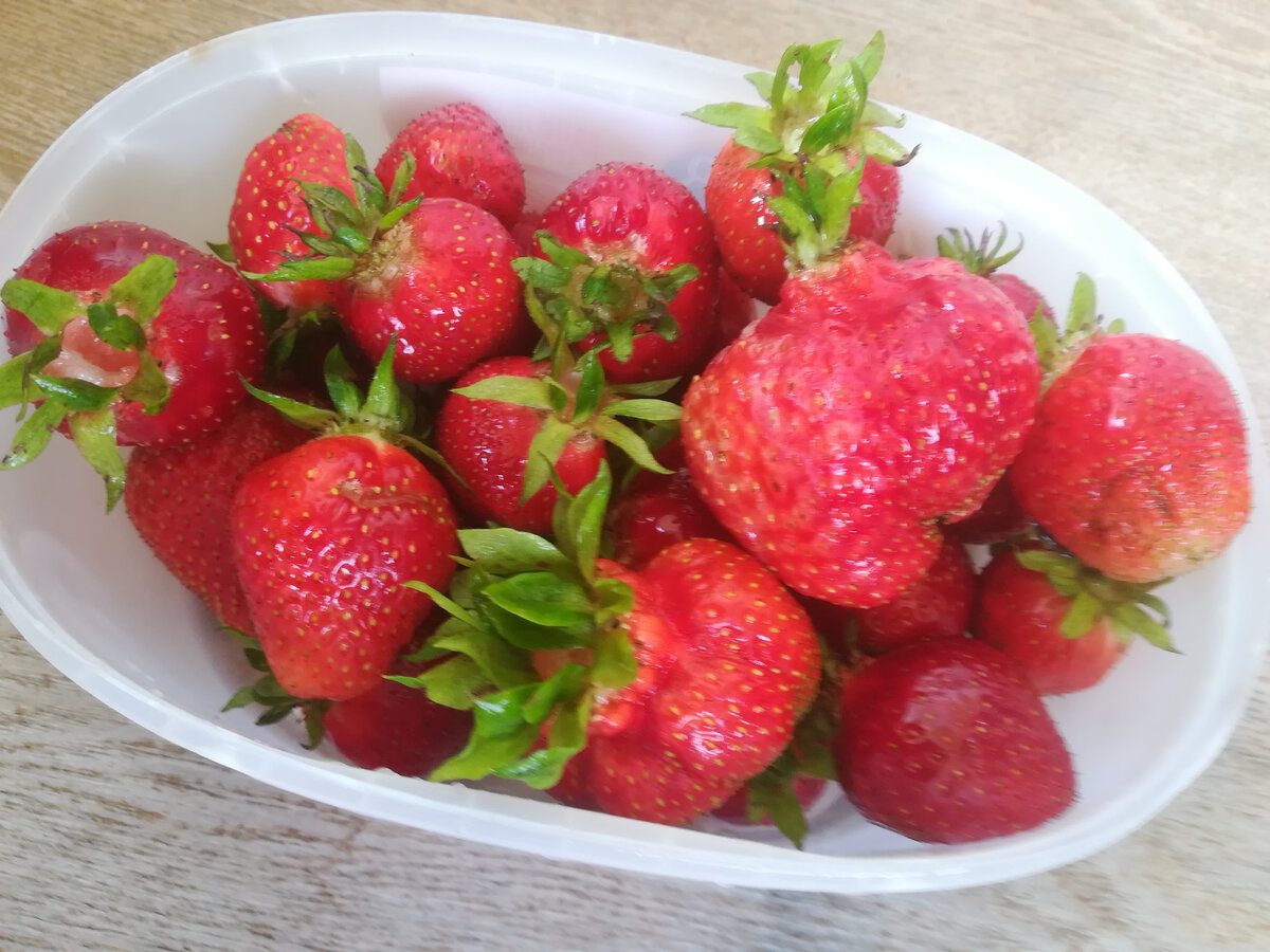 Експерти порадили максимально простий та ефективний спосіб підготовки полуниці до зимівлі