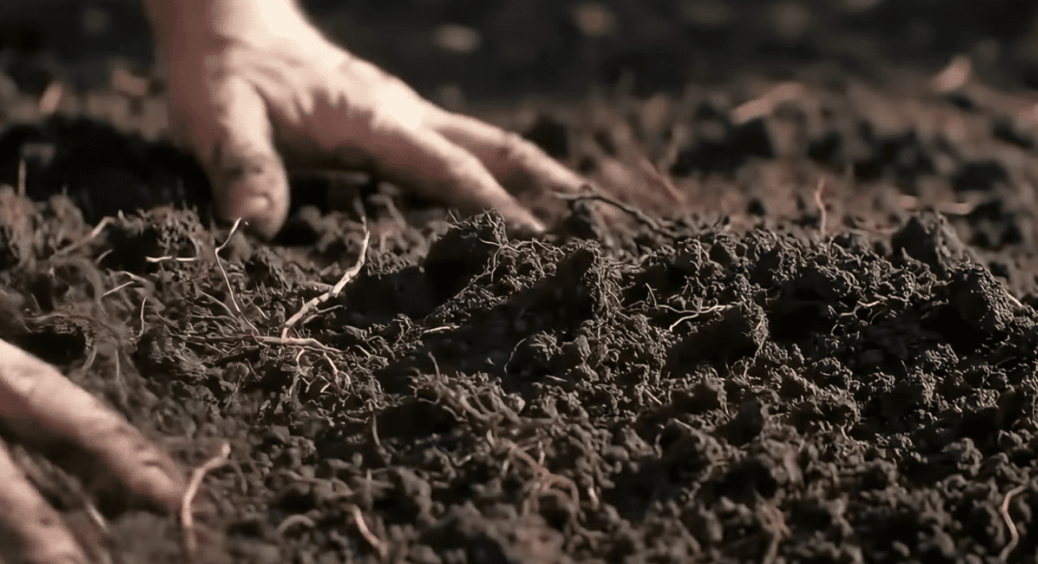 1 пакет за 100 грн замінив КАМАЗ гною: земля стала чорною за сезон, все росте вдвічі швидше й без хімії 