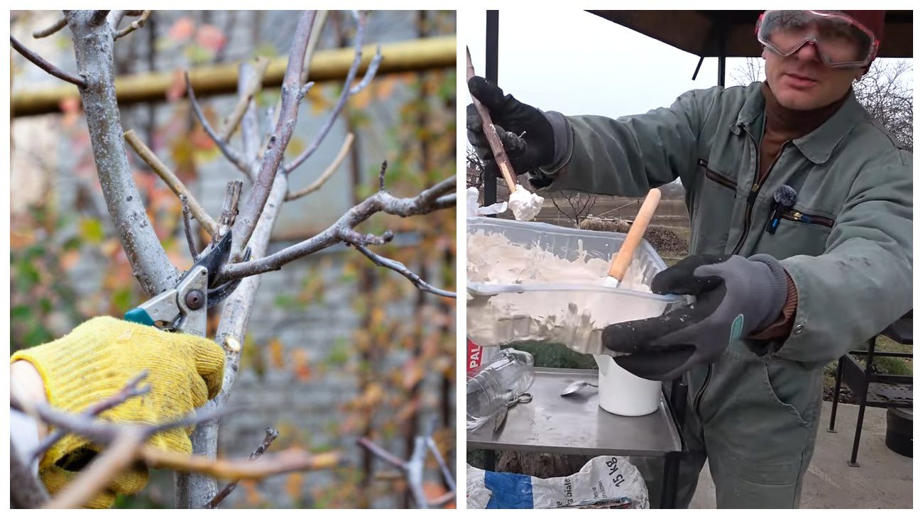 Садівники розповіли, чим замінити садовий вар