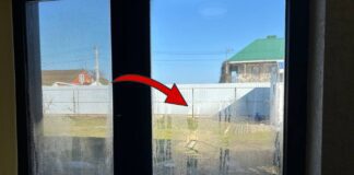 Як мити вікна без розводів