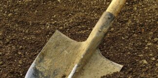 Городники розповіли, чи треба восени вносити у ґрунт сечовину 