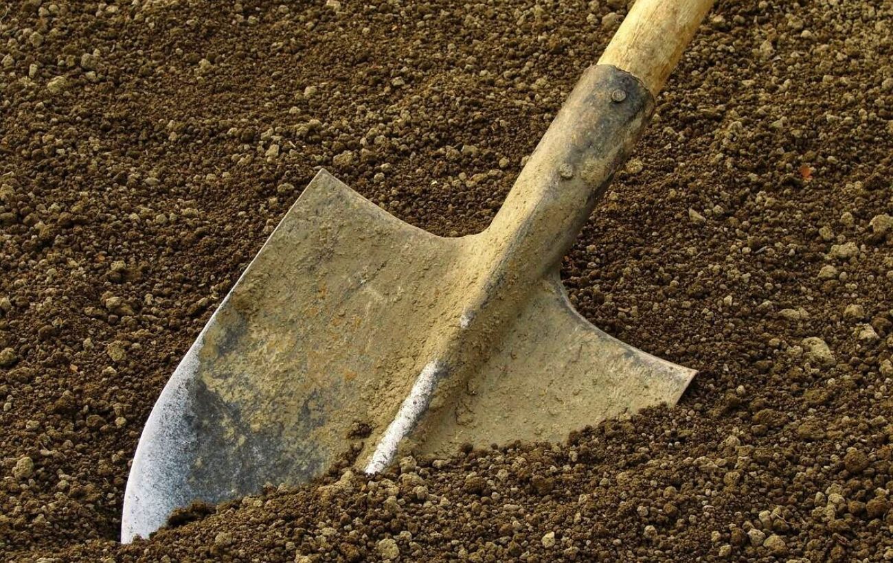 Городники розповіли, чи треба восени вносити у ґрунт сечовину 