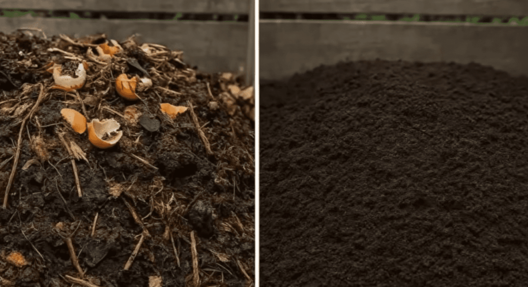 Я думала, що це байка: з цією секретною добавкою діда Миколи компост дозрів не за 12 місяців, а лише за 2 