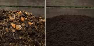 Городники навчили, як прискорити дозрівання компосту