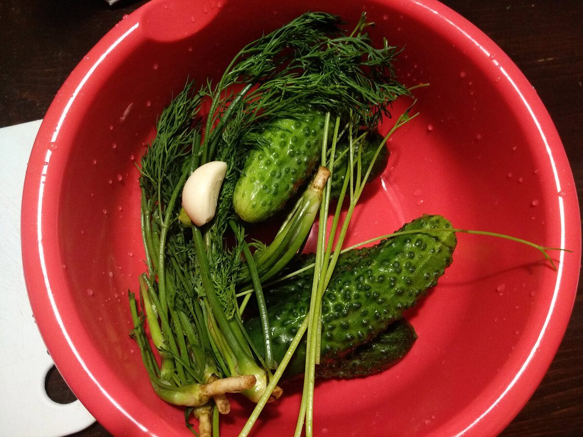 Експерти пояснили, як приготувати смачні малосольні огірки в домашніх умовах – пропорції