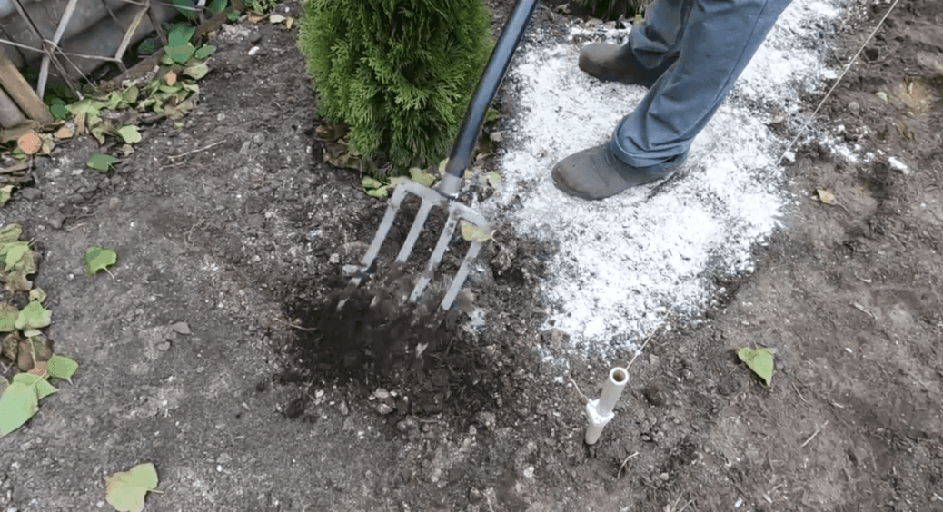 Я розкидала вапно, як моя досвідчена бабця, а потім збагнула: 4 моменти можуть змінити результат кардинально 