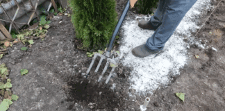 Городники нагадали, коли не варто використовувати вапно